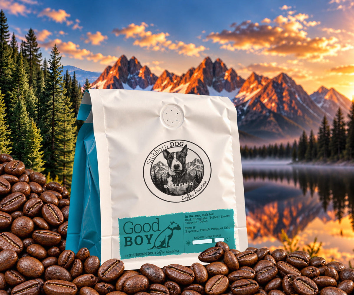 A bag of Good Boy Medium-Dark Roast coffee on roasted beans, with pine trees, mountains and a lake at sunset behind it